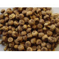 Dry Agaricus Blazei Mushroom